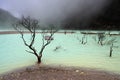 KAWAH PUTIH - BANDUNG, JAVA IN INDONESIA