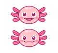 Kawaii axolotl face