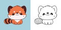 Kawaii Baby Red Panda for Coloring Page and Illustration. Adorable Clip Art Baby Animal. Cute Vector Illustration of a Royalty Free Stock Photo