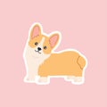 Kawaii breed corgi standing sticker, funny little dog