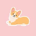 Kawaii breed corgi welsh sticker, lying happy little doggy