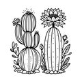 printable succulent coloring page, desert cactus coloring page, outline cactus coloring page