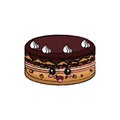 kawaii cake icon