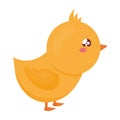 kawaii chick design Royalty Free Stock Photo