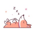 Kawaii dog sleeping