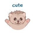 Kawaii doodle hedgehog, cute mammal animal, lovely cartoon drawing pet, editable vector illustration for kids decoration, poster,