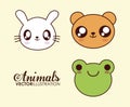 Kawaii frog bear and rabbit icon. Vector graphic