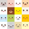 Kawaii funny muzzle set bear cat dog hare seal, animal faces collection with pink cheeks and winking eyes on square background. Royalty Free Stock Photo