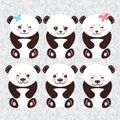 Kawaii funny panda white muzzle with pink cheeks