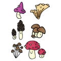 Kawaii mushroom cartoon vector illustration motif set. Hand drawn edible fungi