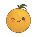 kawaii orange fruit icon