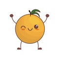 kawaii orange fruit image