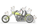 Kawaii panda and cats and motorcycle