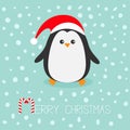 Kawaii Penguin wearing Santa red hat. Cute cartoon character.