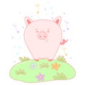 Kawaii pig image design, vector illustration