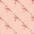 Kawaii Rufous Bellied Thrush Vector Repeat Pattern