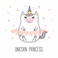 Kawaii unicorn princess Royalty Free Stock Photo