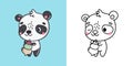 Kawaii Vector Xmas Panda Multicolored and Black and White. Beautiful Clip Art Christmas Bear.