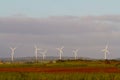 Kawailoa Wind Farm Hawaii Royalty Free Stock Photo