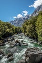 Kawarau river and forest, New Zealand