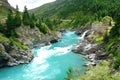 Kawarau river and forest