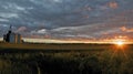 Field of cornstalks with silo at sunset Royalty Free Stock Photo