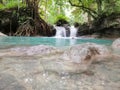 kawasan falls Royalty Free Stock Photo