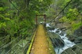 Kawazu waterfall trail, Izu Peninsula, Japan Royalty Free Stock Photo