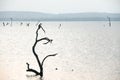 Kawdulla tank , polonnaruwa , srilanka Royalty Free Stock Photo