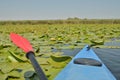 Kayak bow, paddle, lake Royalty Free Stock Photo