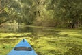 Blue kayak in Danube delta over water surface full of green algae. Summer landscape. Royalty Free Stock Photo