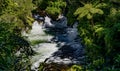 Kayak on the Kaituna River