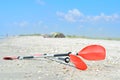 Kayak Paddles Royalty Free Stock Photo