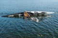 Kayak sculling technique 1