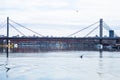 Kayak training on Sava river during winter