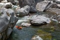 Kayaker on the Canrejal river in Pico Bonito national park Royalty Free Stock Photo