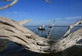 Kayaker in Everglades National Park, Florida.