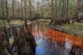 Kayaker on Fisheating Creek, Florida.