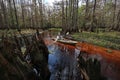 Kayaker on Fisheating Creek, Florida.