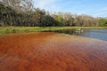 Kayaker on Fisheating Creek, Florida.