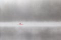 Kayaker in red gear paddling in fog on quiet lake Royalty Free Stock Photo