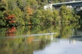 A kayaker rowing down the Monongahela River on a Sunday morning in Morgantown, West Virginia. Royalty Free Stock Photo