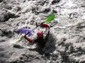Kayaker in white water, rafting Royalty Free Stock Photo