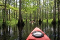 Kayakers on Fisheating Creek, Florida.