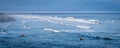 Kayakers in ocean at Ogunquit beach Royalty Free Stock Photo
