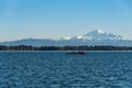 Kayakers paddling in Drayton Harbor on a sunny day with Mount Baker in the background
