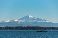 Kayakers paddling in Drayton Harbor on a sunny day with Mount Baker in the background
