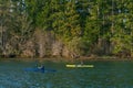 Kayaking Along The Southern Portion of Puget Sound