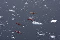 Kayaking in Antarctica