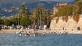 Kayaking competition in Palma de Mallorca wide view